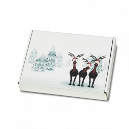 Weihnachtskartons Maxibrief Rentiere im Schnee 250 x 174 x 50 mm, Weiß (B5/A5+)